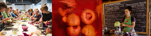 The first image is a side view of a long white dinner table with about ten people seated on either side. The people are busily holding, inspecting, and eating from various Mason jars of red, green, and clear foods and liquids. The second image is an orange-toned, intentionally blurry detail of four round objects—perhaps a close-up of fruits in a pickling liquid? The third image shows an instructor wearing a green apron with a red heart image. She holds a cabbage as she stands at a table filled with blenders and other objects, in front of a chalkboard filled with words and diagrams under the heading “OS Fermentation.”