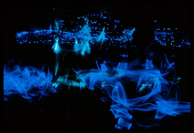 A black and blue image of purplish blue and aqua lights, dots, swirls and arabesques scattered over darkness.