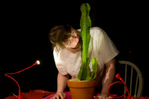 Read more about the article (Dis)Association: the Presence of a Holler Rat